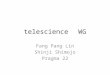 Telescience WG Fang Pang Lin Shinji Shimojo Pragma 22