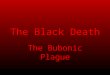 The Black Death The Bubonic Plague. The Black Death The Bubonic Plague (or Black Death) ravaged the European countryside beginning in the 14 th century