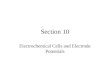 Section 10 Electrochemical Cells and Electrode Potentials