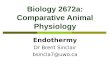 Biology 2672a: Comparative Animal Physiology Endothermy Dr Brent Sinclair bsincla7@uwo.ca