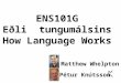 ENS101G Eðli tungumálsins How Language Works Pétur Knútsson Matthew Whelpton