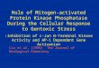 Role of Mitogen-activated Protein Kinase Phosphatase During the Cellular Response to Gentoxic Stress :Inhibition of c-Jun N-Terminal Kinase Activity and