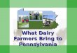 What Dairy Farmers Bring to Pennsylvania. Slides provided by PA’s Dairy Industry  8,500 dairy farms  550,000 cows  10.7 billion pounds of milk produced
