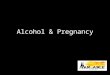 Alcohol & Pregnancy. SMALL BODY SIZE SLOW DEVELOPMENT DEFORMED RIBS MISCARRIAGE POOR SIGHT HEART DEFECTS HYPERACTIVITY MENTAL RETARDATION