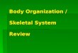 Body Organization / Skeletal System Review. What to know!  Cells  Tissues  All 11 organ systems and their function  Bones  Names of all 20 bones