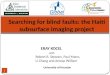 Searching for blind faults: the Haiti subsurface imaging project ERAY KOCEL ERAY KOCEL with with Robert R. Stewart, Paul Mann, Robert R. Stewart, Paul