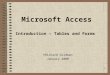 1 Microsoft Access Introduction – Tables and Forms ©Richard Goldman January 2000