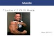 Muscle  Lecture #10 Ch 10 Muscle Muse 10/31/12. An Introduction to Muscle Tissue  Muscle Tissue  A primary tissue type, divided into  Skeletal muscle
