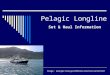 Pelagic Longline Set & Haul Information Image: 