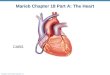 Copyright © 2010 Pearson Education, Inc. Marieb Chapter 18 Part A: The Heart CABG