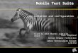 Click to edit Master subtitle style Mobile Test Suite Installation and configuration Paul Shepherd Senior Repair Technician Zebra Technologies Europe Limited
