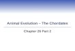 Animal Evolution – The Chordates Chapter 26 Part 2