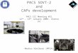 PACS SOVT-2 and CAPs development MPIA PACS ICC Meeting #31 12 th – 13 th January 2009, Vienna (A) Markus Nielbock (MPIA)