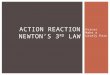 Forces Make a Lovely Pair ACTION REACTION NEWTON’S 3 RD LAW