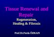 Tissue Renewal and Repair Regeneration, Healing & Fibrosis Prof.Dr.Ferda –ZKAN