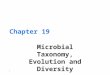 1 Chapter 19 Microbial Taxonomy, Evolution and Diversity