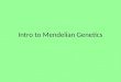 Intro to Mendelian Genetics. Gregor Mendel Austrian monk and gardener Significant work done in 1850’s Father of genetics (study of heredity) Heredity
