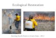 Ecological Restoration Burning South Prairie at Green Oaks - 2013