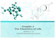 Chapter 2 The Chemistry of Life Section 2 – 4 Chemical Reactions & Enzymes
