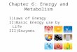Chapter 6: Energy and Metabolism I)Laws of Energy II)Basic Energy use by Life III)Enzymes