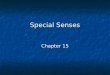 Special Senses Special Senses Chapter 15. Olfactory: Olfactory: Small patch of olfactory epithelium located on the superior nasal concha that contains