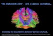 ‘The Enchanted Loom’ - Art-science workshop… Crossing the boundaries between science and art.. Image credit: Laboratory of Neuro Imaging – University of