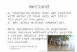 Wetland 1. Vegetated areas that are covered with water or have very wet soils for part of the year. 2. Wet areas without vegetation, Most documents focus