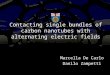 Contacting single bundles of carbon nanotubes with alternating electric fields Marcella De Carlo Danilo Zampetti