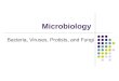 Microbiology Bacteria, Viruses, Protists, and Fungi