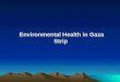 Environmental Health in Gaza Strip Environmental Health in Gaza Strip 1