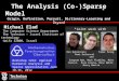 The Analysis (Co-)Sparse Model Origin, Definition, Pursuit, Dictionary-Learning and Beyond Michael Elad The Computer Science Department The Technion –