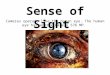 Sense of Sight Cameras operate like the human eye. The human eye has approximately 576 MP