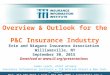Overview & Outlook for the P&C Insurance Industry Erie and Niagara Insurance Association Williamsville, NY September 30, 2015 Download at 