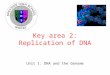 Unit 1: DNA and the Genome Key area 2: Replication of DNA