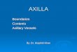 AXILLA BoundariesContents Axillary Vessels By: Dr. Mujahid Khan