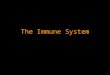 The Immune System. Function The immune system functions to provide protection from disease causing agents in the one’s environment Pathogens include viruses,