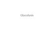 Glycolysis. Summary of glycolysis. The pathway of glycolysis