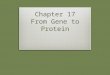Chapter 17 From Gene to Protein. 17.1 – Genes specify proteins via transcription & translation  Gene Expression  DNA directs the synthesis of proteins