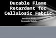 Jonathan Marks Fernando Robelo Durable Flame Retardant for Cellulosic Fabric