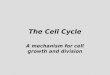 The Cell Cycle A mechanism for cell growth and division