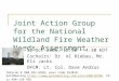 Joint Action Group for the National Wildland Fire Weather Needs Assessment 12 Oct 2006, 12:30 – 4:30 EDT Cochairs: Dr. Al Riebau, Mr. Eli Jacks OFCM: Lt