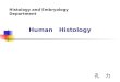孔 力 Human Histology Histology and Embryology Department