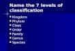 Name the 7 levels of classification Kingdom Kingdom Phylum Phylum Class Class Order Order Family Family Genus Genus Species Species