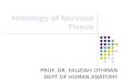 Histology of Nervous Tissue PROF. DR. FAUZIAH OTHMAN DEPT OF HUMAN ANATOMY