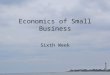 Economics of Small Business Sixth Week. 1. Some Theoretical Background