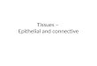 Tissues â€“ Epithelial and connective. Copyright © 2009 Pearson Education, Inc. Figure 4.1a Types of epithelial tissues. (1 of 2)