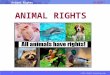 © 2015 albert-learning.com Animal Rights ANIMAL RIGHTS