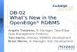 DB-02 What’s New in the OpenEdge ® RDBMS Angelo Tracanna, Sr Manager, OpenEdge Data Management Products Tom Harris, Director, RDBMS Development Brian Werne,