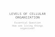 LEVELS OF CELLULAR ORGANIZATION Essential Question How are living things organized?