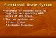 Functional Brain System Networks of neurons working together and spanning wide areas of the brain Networks of neurons working together and spanning wide